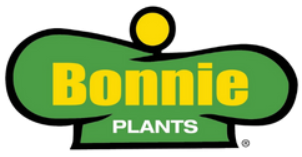 Bonnie Beefsteak Cage Tomato