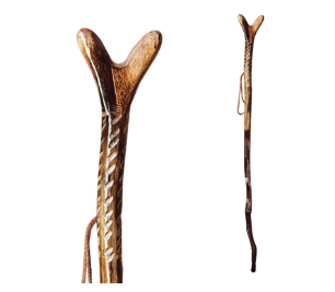 Hiking Stick Y