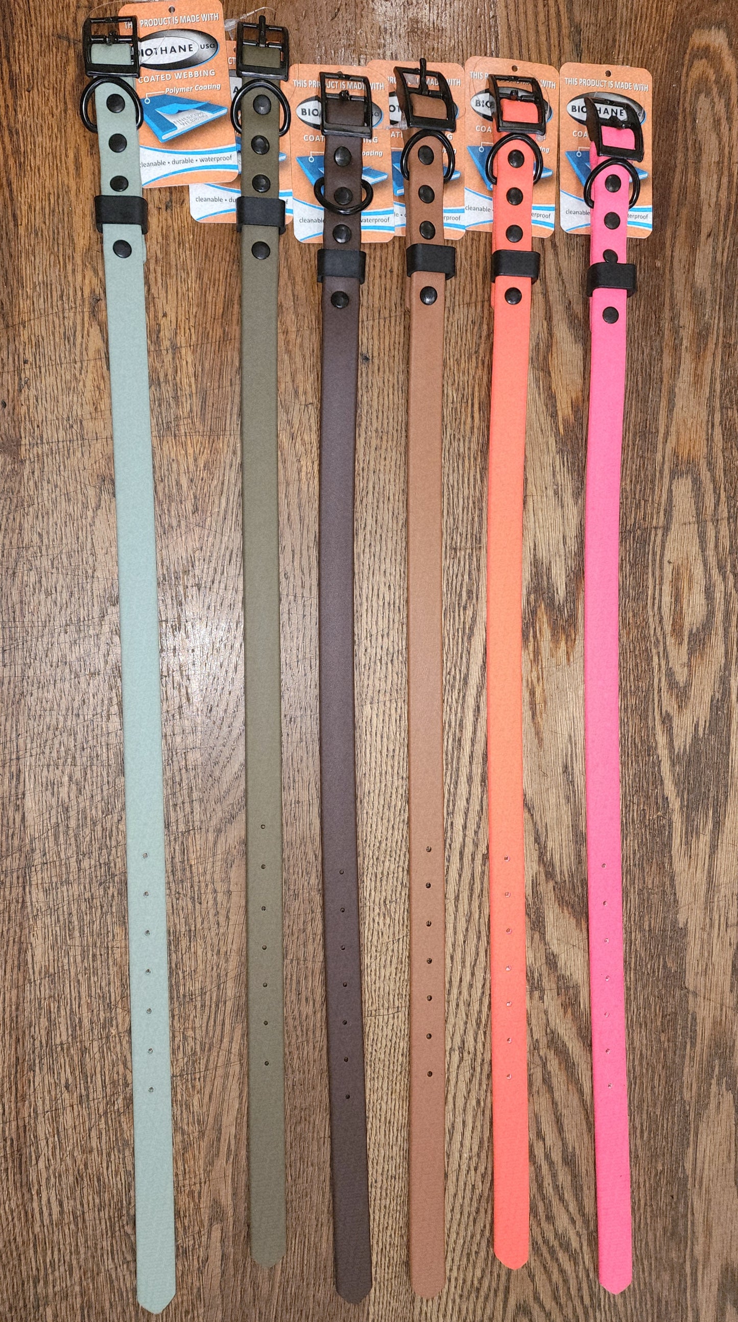 Biothane Coated Nylon Dog Collar Medium