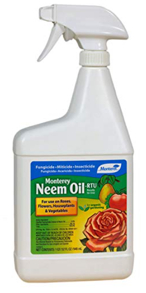 Monterey Neem Oil RTU