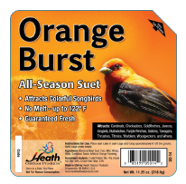 Orange Burst Suet