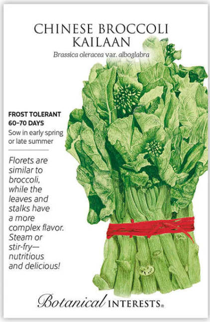 Chinese Broccoli