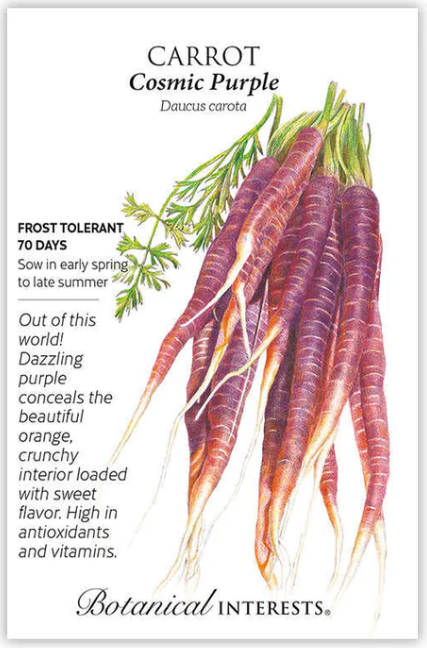 Cosmic Purple Carrot