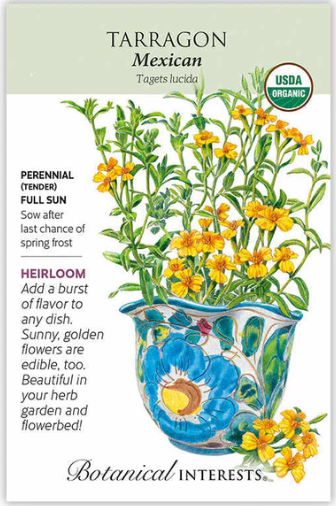 Mexican Tarragon