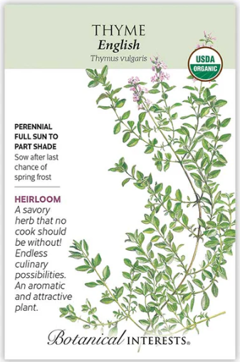 English Thyme