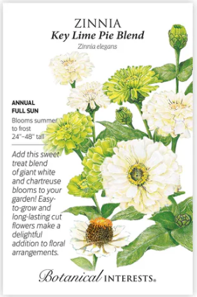 Key Lime Pie Blend Zinnia