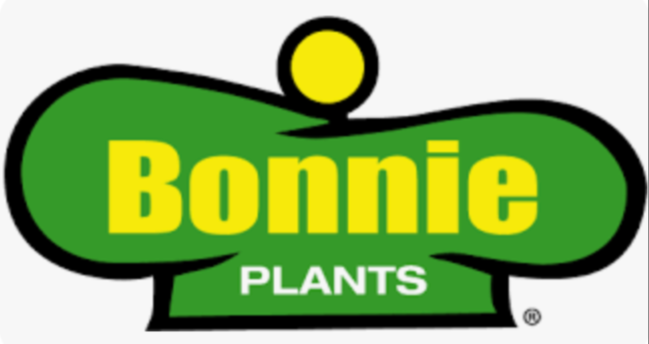 Bonnie Lavender