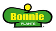 Bonnie Black Beauty Eggplant