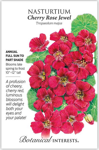 Cherry Rose Jewel Nasturtium