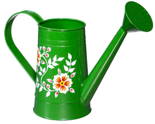Hand Painted Watering Can