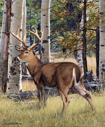 Fall Whitetail Puzzle