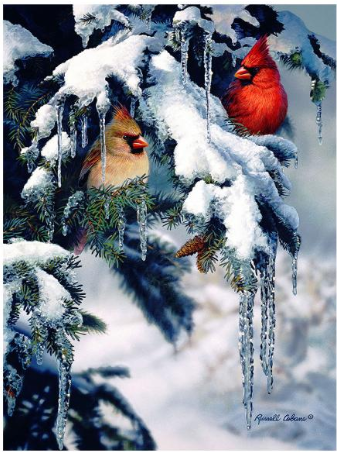 Natures Jewels Puzzle